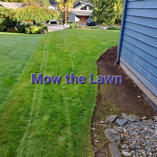 IMG-20250714-WA0010