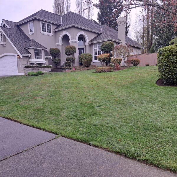 IMG-20250714-WA0017