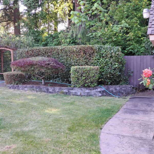 IMG-20250714-WA0019