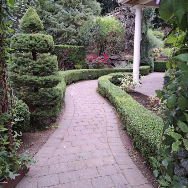 IMG-20250714-WA0023