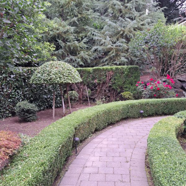 IMG-20250714-WA0025