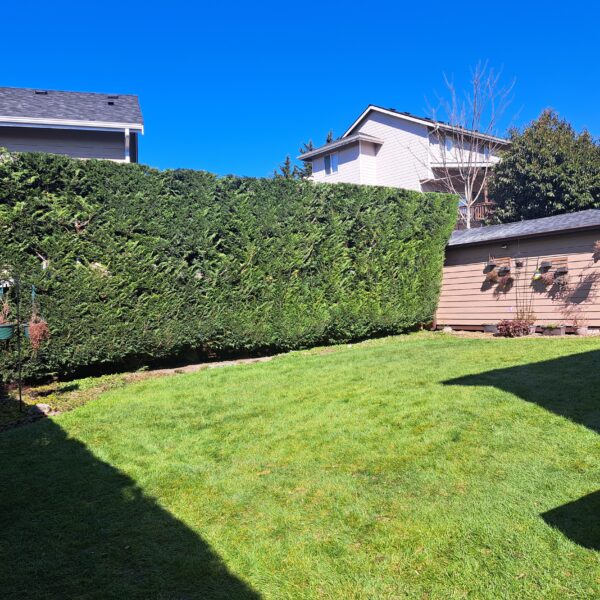 IMG-20250714-WA0026