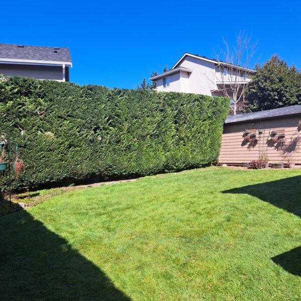 IMG-20250714-WA0026