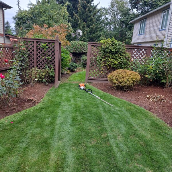 IMG-20250714-WA0027